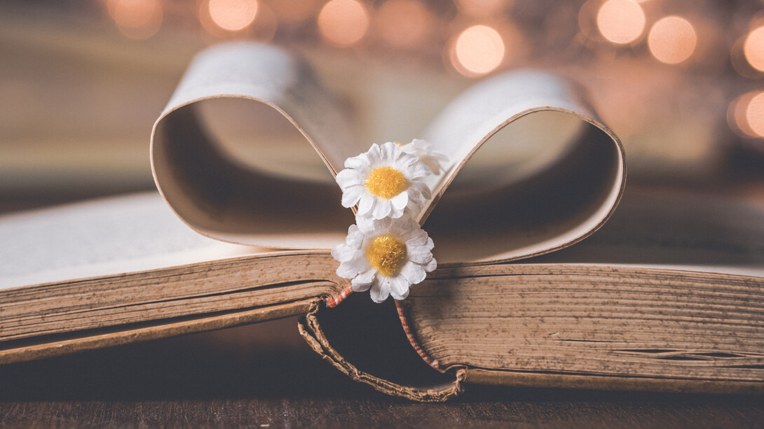 Roque Esteban Scarpa: un creador literario de vasta obra y sólido currículo