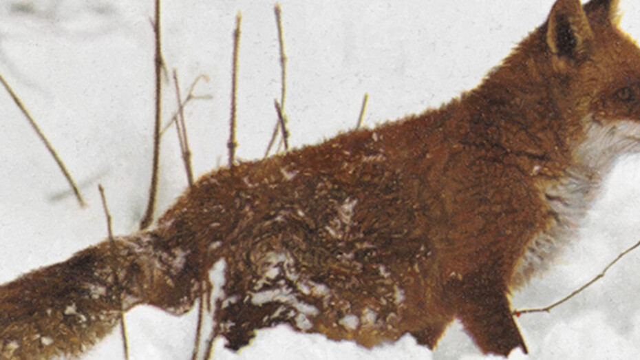 Rudolf Stingel. Courtesy of Fondation Beyeler