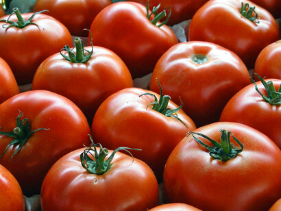 Pomodori da cuocere e pelare