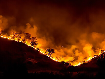 Tree ridge in flames during the 2018 Woolsey Fire, California, US