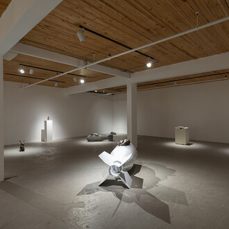 Brandon Vickerd, Phantom limb, vue d'exposition. Avec l'aimable autorisation d'Art Mûr