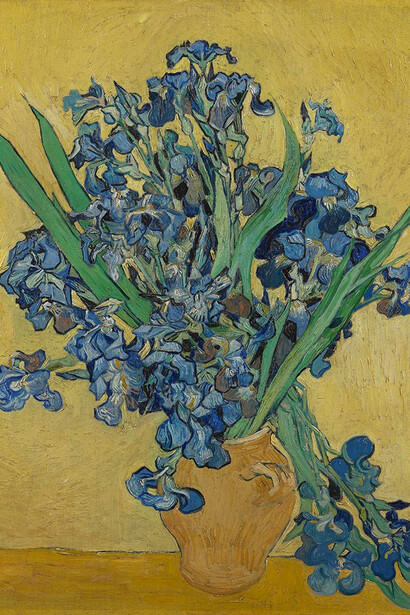 Vincent van Gogh, Irises, May 1890, oil on canvas, Van Gogh Museum, Amsterdam (Vincent van Gogh Foundation).