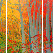 Joseph DiGiorgio, Untitled #84-7 (triptych) (detail), 1984. Courtesy of LewAllen Galleries