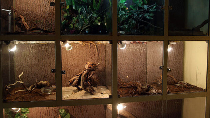 Terarium. Courtesy of Regional Natural History Museum of Plovdiv