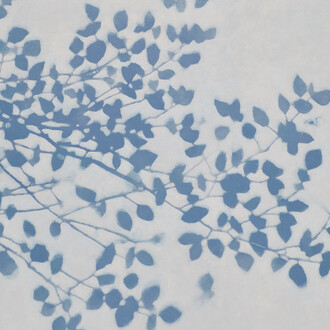 David Kidd, Silhouettes and shadows exhibition. Courtesy of Thomas Deans Fine Art Gallery