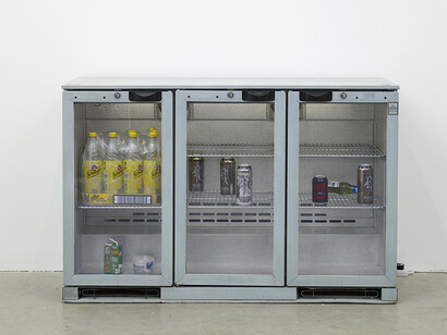 Stephen Dwoskin, 2015, Vilma Gold, London, installation view