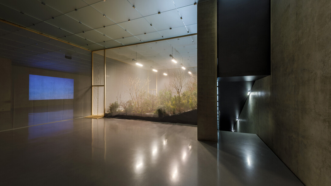 Precious Okoyomon, One either loves oneself or knows oneself, exhibition view. Courtesy of Kunsthaus Bregenz