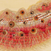 Kim Seola, Under black water, inua, 2024. Courtesy of Sakshi Gallery 