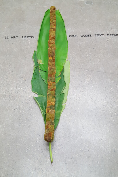 Pier Paolo Calzolari. "Il mio letto così come deve essere", stabilised moss, brass, 1968