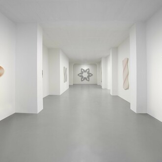 Philippe Decrauzat, Teatro anatomico, exhibition view. Courtesy of Galleria Poggiali