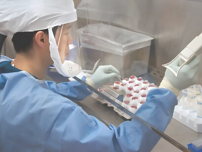 In 2013, this image captures a scientist from the Centers for Disease Control and Prevention (CDC) harvesting the H7N9 virus, which was cultivated for the specific purpose of sharing with partner laboratories for research endeavors
