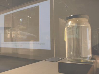 Fotografía cortesía del Museo de Jade y la Cultura Precolombina del Instituto Nacional de Seguros