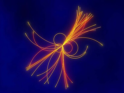 Simulazione del Bosone di Higgs