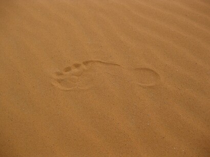 Si no lo remediamos, la memoria del hombre en la tierra será borrada tan rápidamente como una huella sobre la arena
