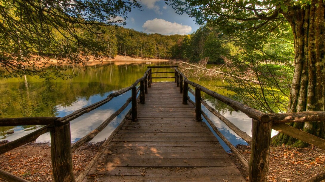 Parco del Gargano, Foresta Umbra