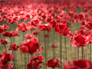 All images © Richard Lea-Hair and Historic Royal Palaces