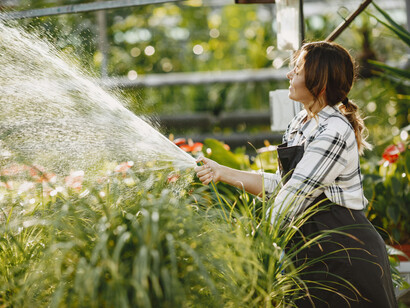 The garden is not a collection of events, but a single organism slowly discovering itself