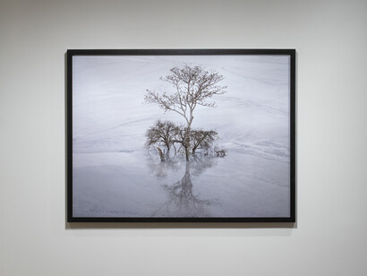 Edward Burtynsky, Natural commodities, exhibition view. Courtesy of Howard Greenberg Gallery