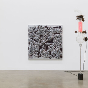 Thomas Feuerstein. Courtesy of Sexauer