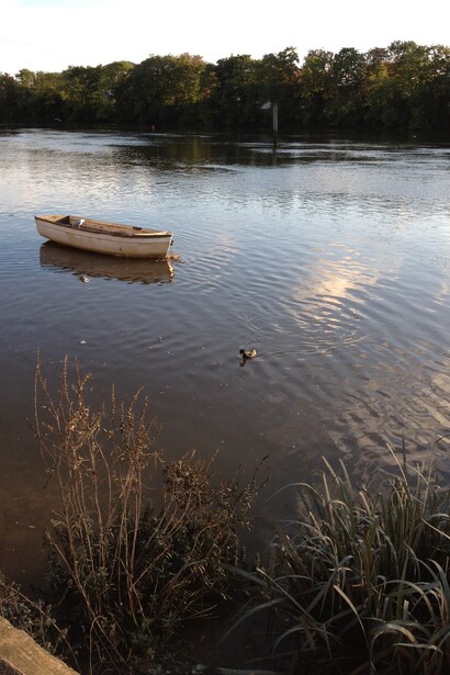 Chiswick, the Thames River.