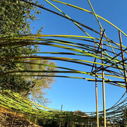 Philip Krohn and Auxart, Hawks and doves, exhibition view. Courtesy of Di Rosa Gallery