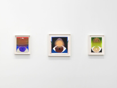 Spotlight: Brittney Leeanne Williams, exhibition view. Courtesy of Vielmetter
