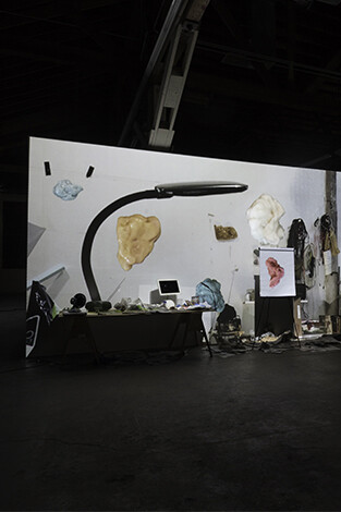 Trisha Baga
“Biologue”, exhibition view, 356 Mission, Los Angeles, 2017 Courtesy the artist and Greene Naftali, New York
Photo: Brica Wilcox