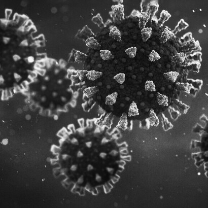 Le nostre conoscenze dei virus a RNA esistenti sono ancora limitate