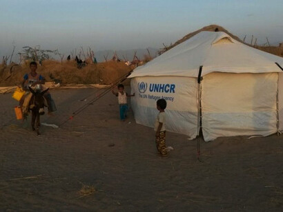 The role of UNHCR in the humanitarian emergency