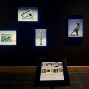 Accession Number, Exhibition view. Courtesy of WCMA