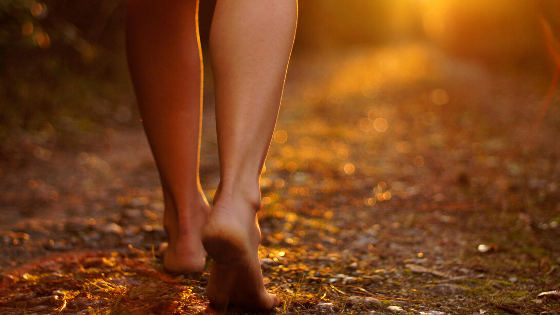 Caminemos en busca de que el mundo recupere su brillo