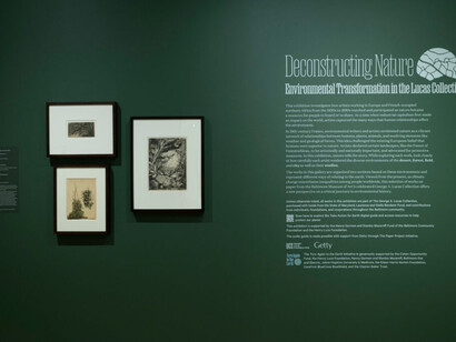Deconstructing nature, exhibition view. Courtesy of the Baltimore Museum of Art