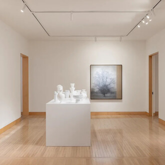 Richard Learoyd, exhibition view. Courtesy of Fraenkel Gallery