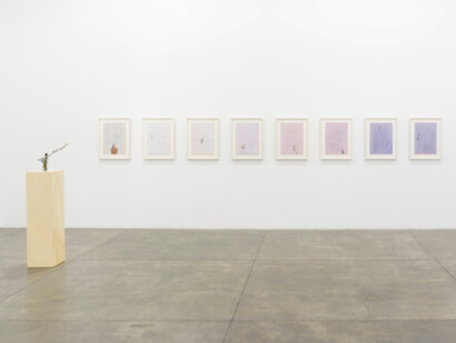 Instances of Seeing, Exhibition view. Courtesy of Fortes D’Aloia & Gabriel