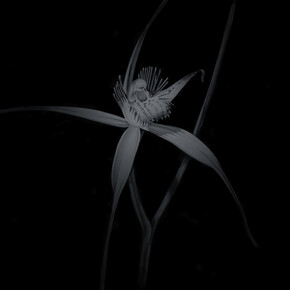 Penelope Gottlieb. Courtesy of Heather James Fine Art