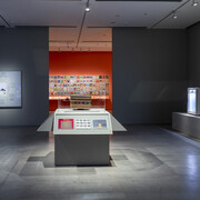 Martín Legón, Only the stones recall, exhibition view. Courtesy of Museo de Arte Moderno de Buenos Aires