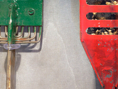 The Century of Forest Improvements. Courtesy of Lusto