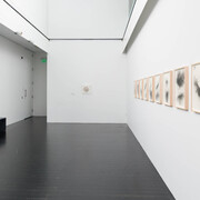 Bethany Collins, The deluge, exhibition view. Courtesy of MCA Denver