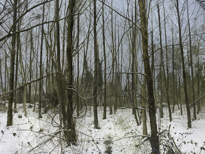 Martin La Rosa, Tomaso's Awakenings, Oil on canvas
