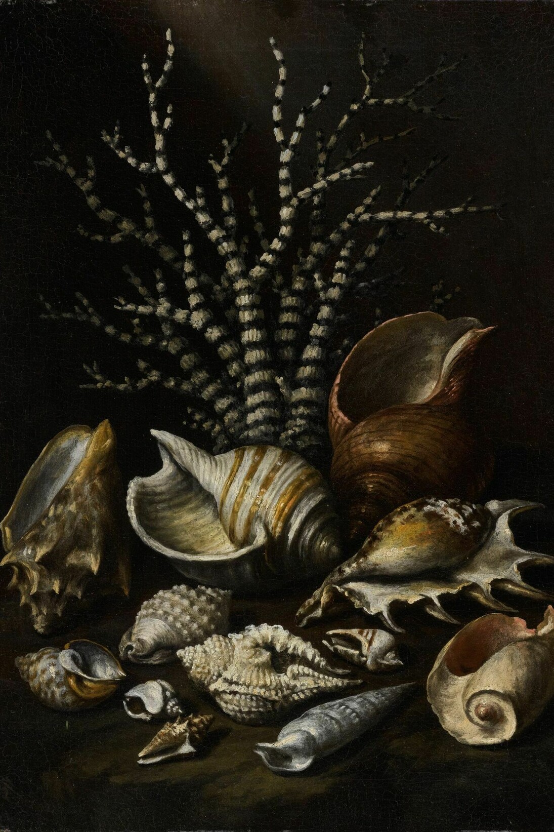 Paolo Porpora, Coral and shells, oil on canvas, 17 5/8  by 12 5/8  in.; 44.8 by 32.2 cm. Sotheby’s + Paul Kasmin Gallery , Naturalia: Scenes from the Underbrush, 19 January – 4 March 2017
 

