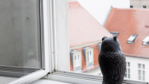 Zarouhie Abdalian, a caveat, a decoy, 2014, window, sound, and owl decoy, dimensions variable, detail view
