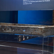 Pandora gallery, exhibition view. Courtesy of Queensland Museum Tropics