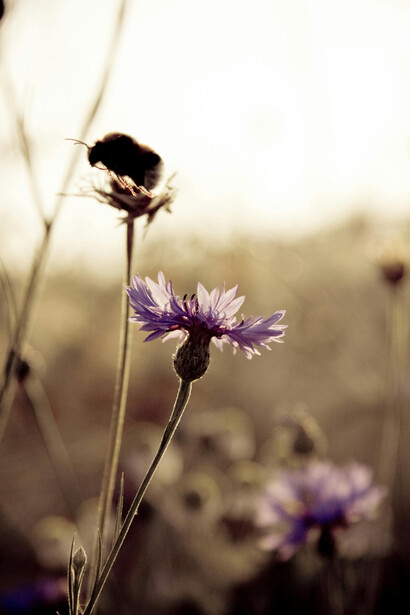 Los cambios y las transiciones invitan a cuestionar valores, prioridades y definiciones de éxito