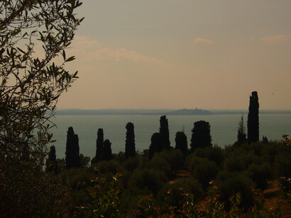 Sentiero tra i pioppi sull'isola Polvese