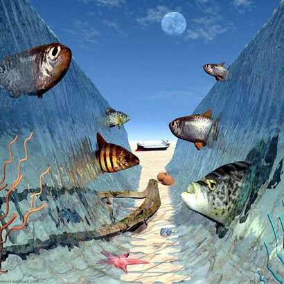Arte digital, o mar