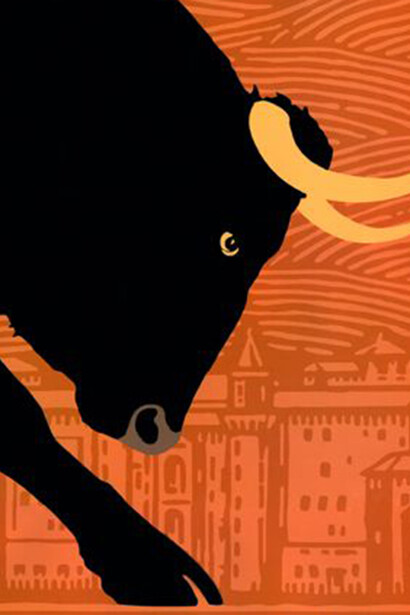 Pamplona Toro
