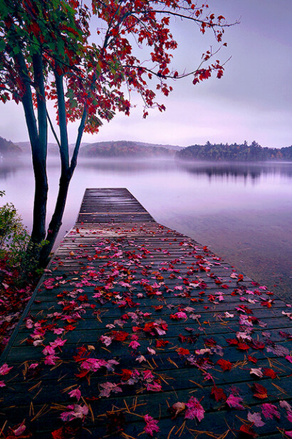 Thousand Islands, Canada.