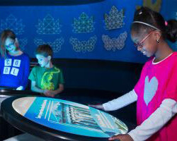 A Mirror Maze. Courtesy of The Franklin Institute