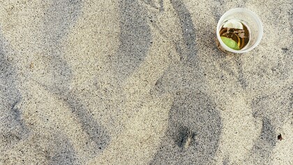 El turismo de masas representa una de las mayores amenazas para la diversidad histórica, cultural y ecológica de las distintas ciudades y regiones del mundo