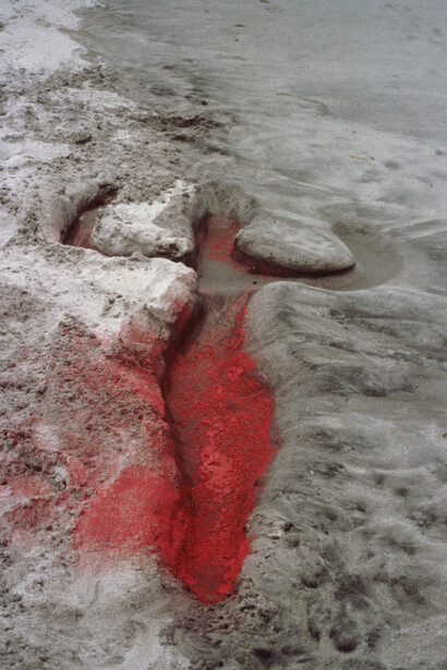 Ana Mendieta, Untitled: silueta series, 1976. Courtesy of Tate Modern